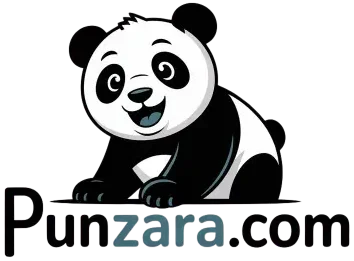 Pun Zara