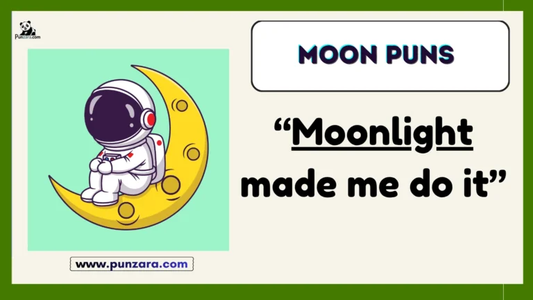 Moon Puns